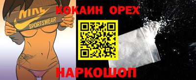 крисы Будённовск