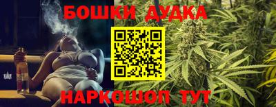 крисы Будённовск