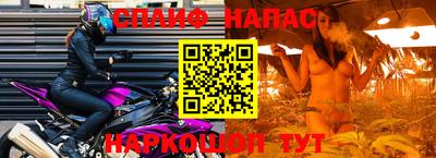 крисы Будённовск