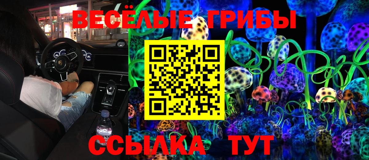 Псилоцибиновые грибы GOLDEN TEACHER Петровск