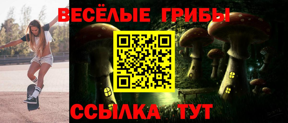 Псилоцибиновые грибы MAGIC MUSHROOMS  закладка  Петровск  Вход с VPN 